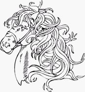 coloriage joli cheval